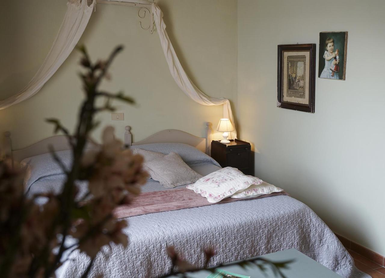 Locanda Degli Alberi サッセッタ エクステリア 写真